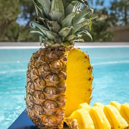 Karla With Pool&sea View By Guide Villa *